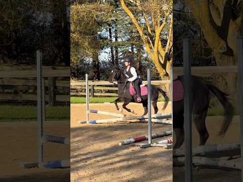 Slowly starting to get into jumping after 2 months off jumping!