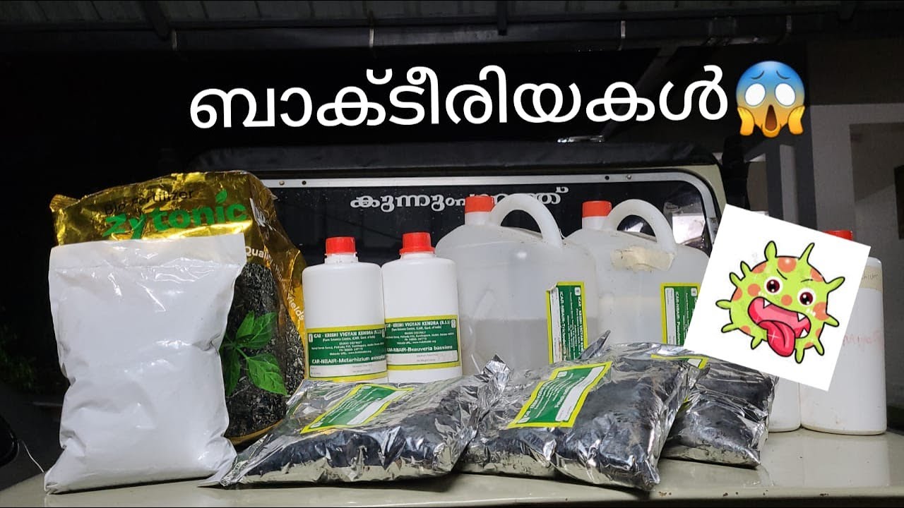 മിത്ര ബാക്ടീരിയകൾ, അറിയേണ്ടത് എല്ലാം