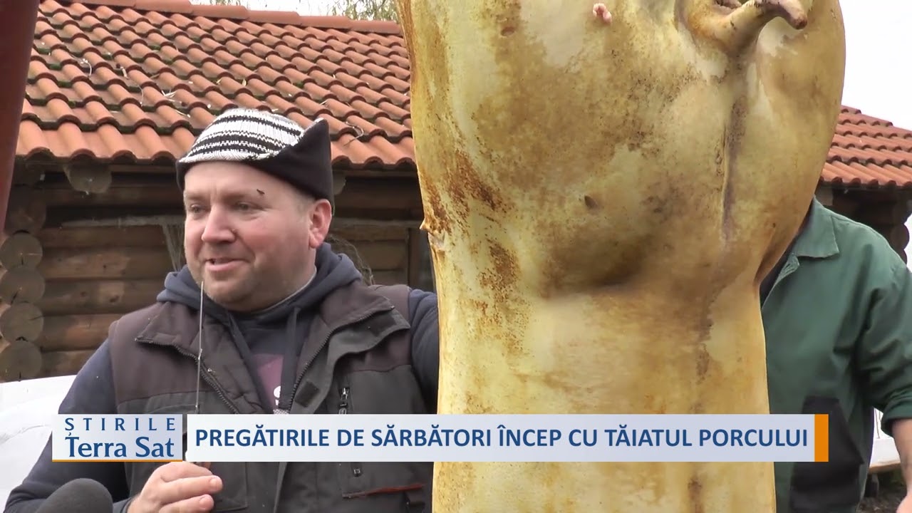 PREGĂTIRILE DE SĂRBĂTORI ÎNCEP CU TĂIATUL PORCULUI