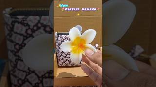 🎀New Gifting Hamper💖🎁🌸#shortsviral#shortsfeed#trending#packing#ytshorts#