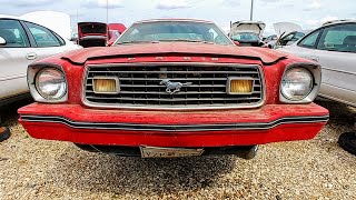 1977 Ford Mustang II Junkyard Find