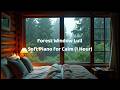 Forest Window Lull — Soft Piano for Calm (1 Hour)