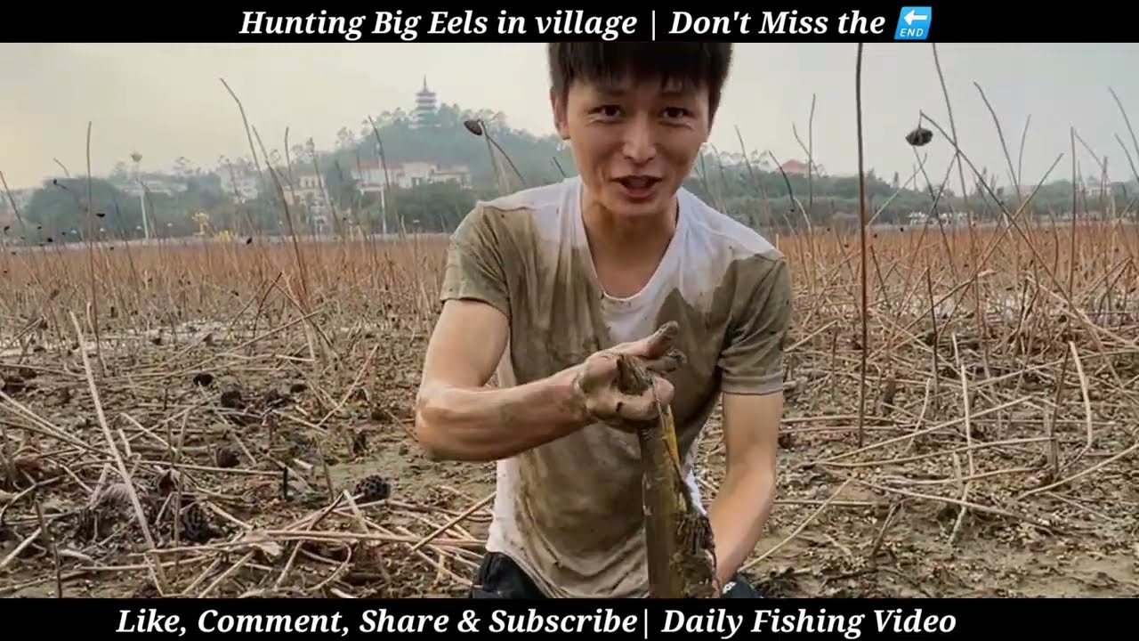 Unbelievable Eel and Tortoise Catch in Muddy Water | Traditional Fish Hunting Adventure