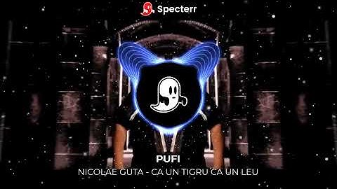 NICOLAE GUTA - CA UN TIGRU CA UN LEU / BASS BOOSTED