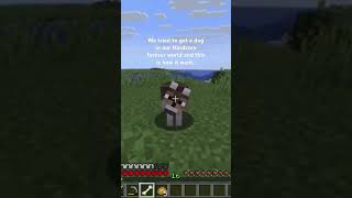 Dog? #minecraft #gaming #minecraftsurvival #minecraftjava #minecraftshorts #minecraftbuilding