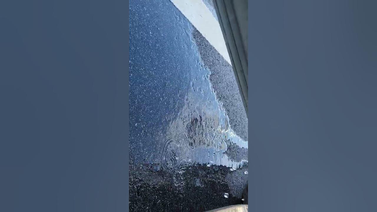 2020 Toyota Corolla doors fill with water when it rains. Wish Toyota