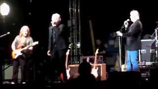 Three Dog Night in Elgin, IL, July 3, 2014 screenshot 1