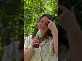 Fuze tea холодний чай