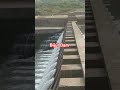 Reels #india #river #dam#riverside #waterfall #water