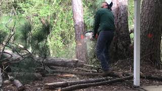 Rodriguez Tree Service and Landscaping