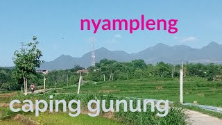caping gunung cocok kanggo jampi sayah #gendingjawa #karawitan #kesenianjawa #uyonuyon