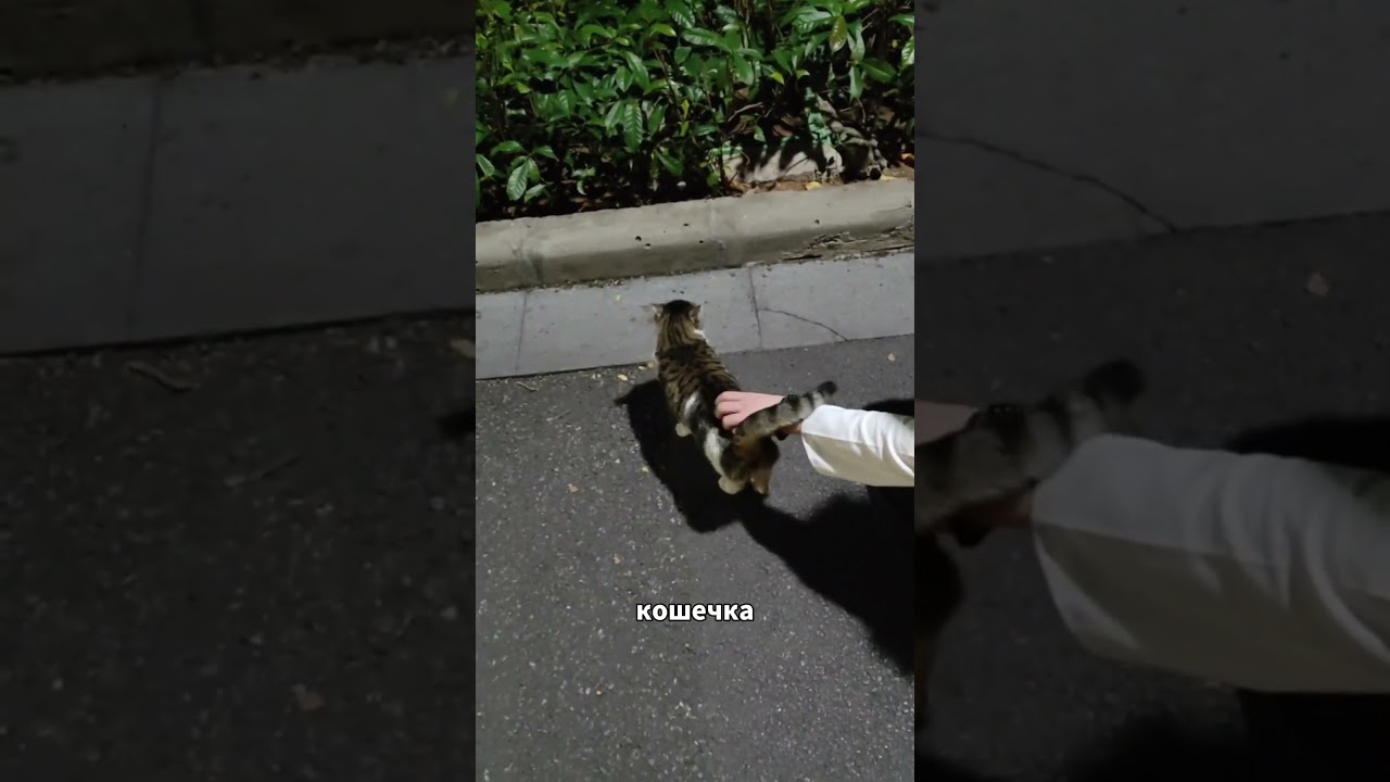 Пошел в горы в Китае а там...