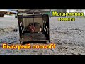 Мышеловка металлическая. Мышеловка которая не убивает мышку. Быстрый способ поймать мышь.