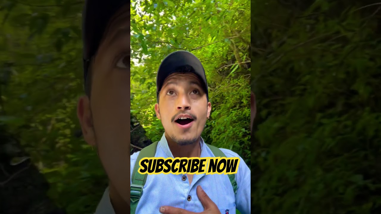 Beautiful waterfall 🥰 