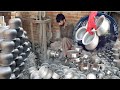 Traditional Cooking Vessels Factory |! Frendly Dishwasher Rust Free Aluminium Degchi Manufacturing