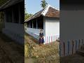 തോൽപാവ കൂത്തിന്റെ details#pavakoothu #shorts