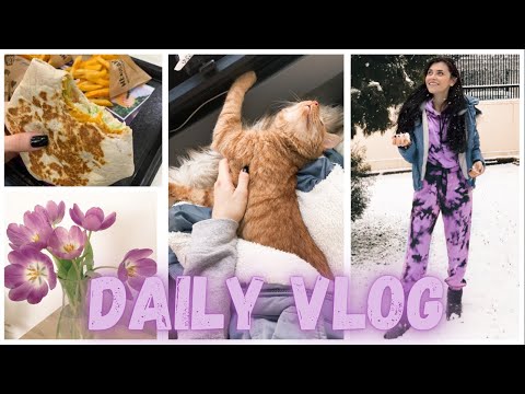 Daily Vlog | De ce am lipsit din Online  / Zapada multa si cumparaturi din Mall