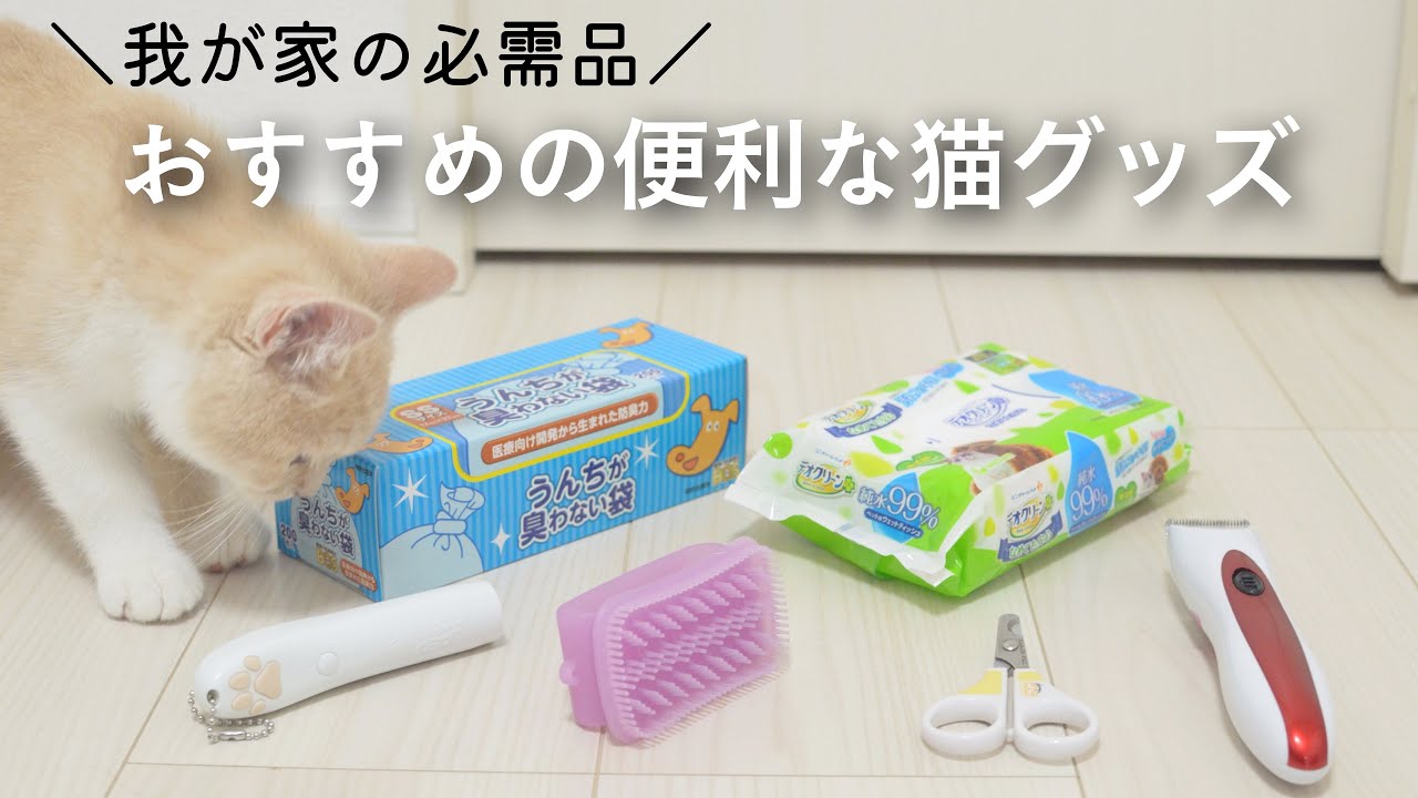 おすすめの猫グッズを紹介します お手入れ用品など ５選 A Youtube