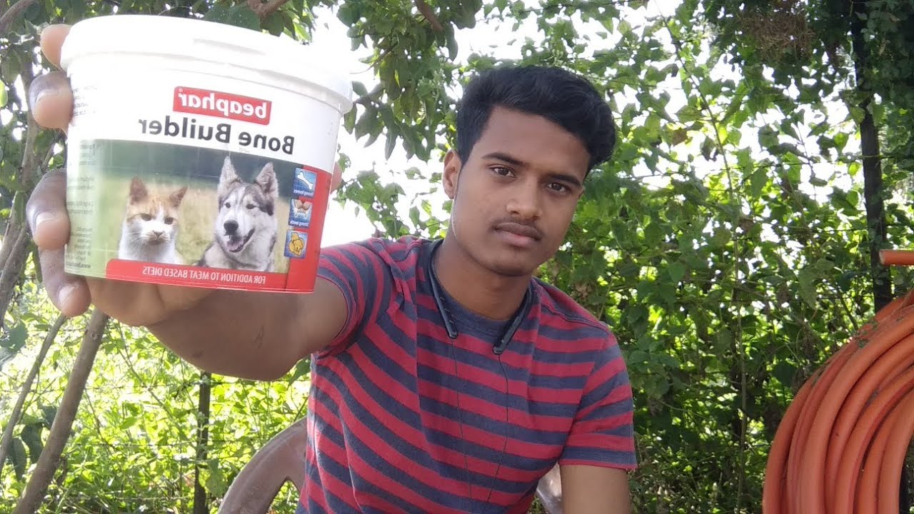 beaphar bone builder