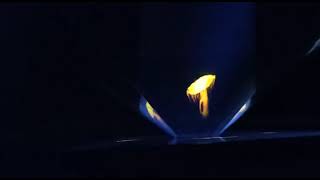 3D Hologram Prototype- Classurge