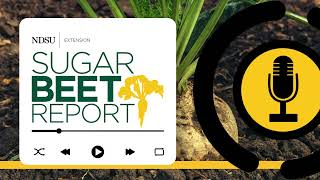 Early Season Considerations for Sugarbeet Growers  Sugarbeet Report