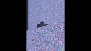 IMG 6366