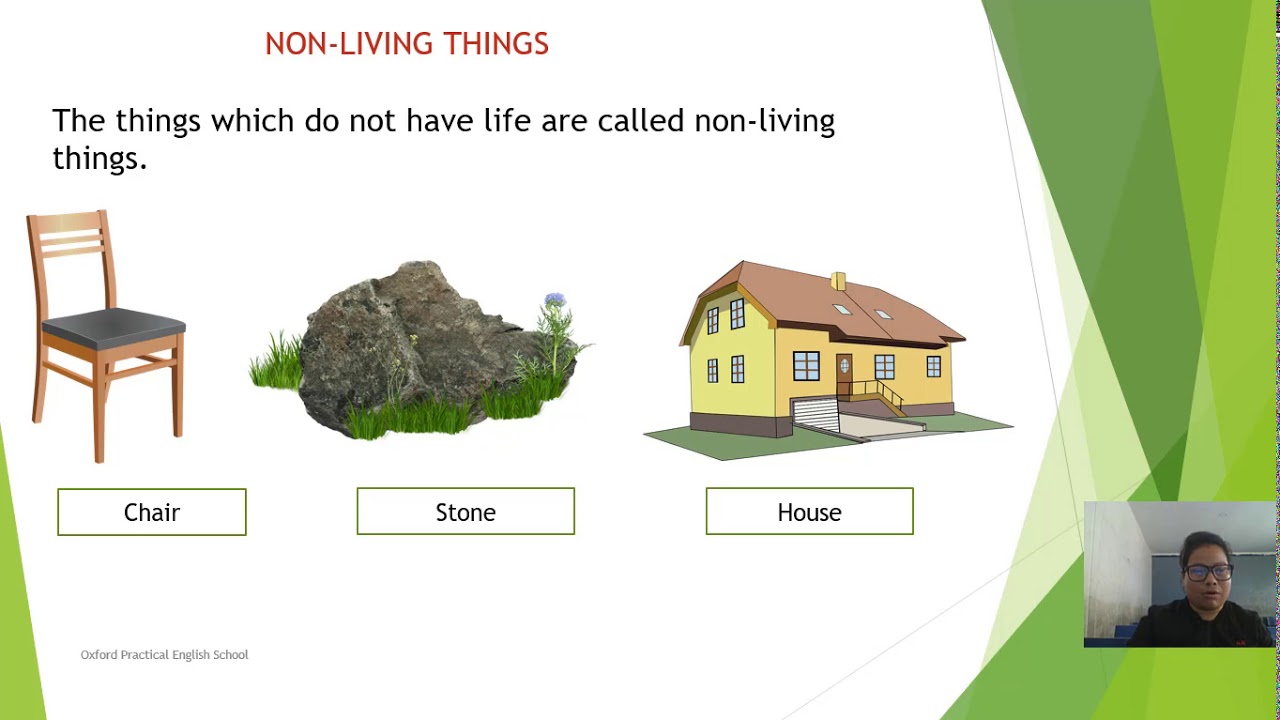 Living Things and Non Living Things - YouTube