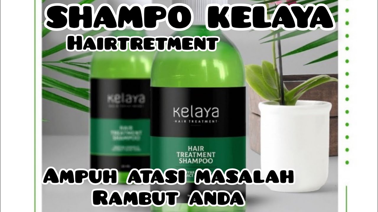 Review Shampoo Kelaya Pemakaian pribadi shampokelaya rambutrusak