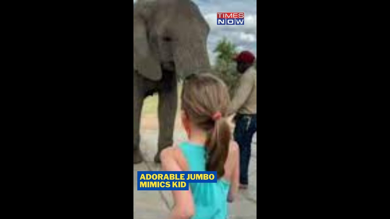 Elephant Imitates Little Girl's Dance Steps 