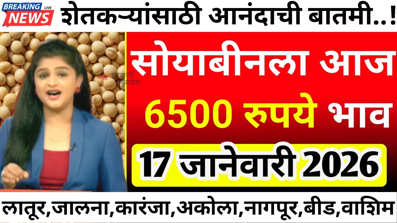 सोयाबीनला आज सर्वाधिक 6500 रु भाव| soyabean bajar bhav today|soyabean bhav today