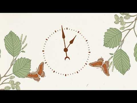 Watch Loop feat. Jorge Glem (ilustrado) on YouTube Watch Loop feat. Jorge Glem (ilustrado) on YouTube