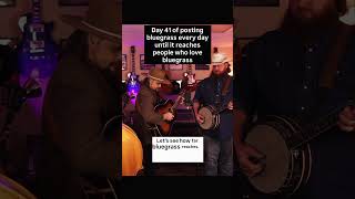 Day 41 of posting #bluegrass until it reaches people who love bluegrass #banjo