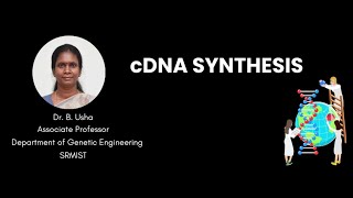 cDNA Synthesis | Dr. B Usha | Genetic Engineering | Bio-Engineering | SRMIST