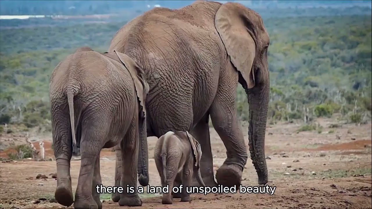 FIKANI 2025 VIDEO OFICIAL DE POTENCIALIDADES NIASSA