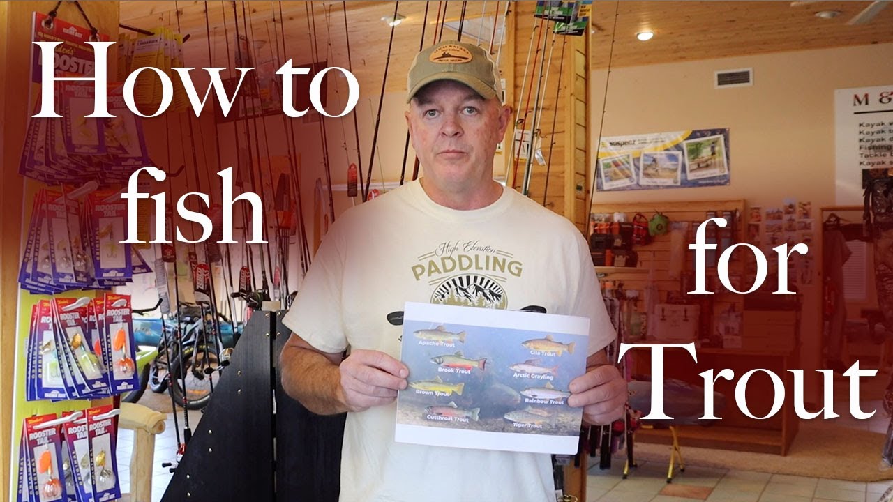 Get Started Trout Fishing Northern Arizona YouTube