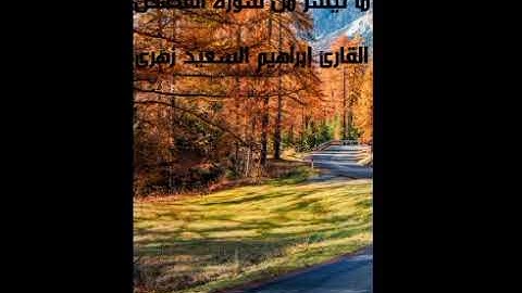 ما تيسر من سورة القصص للقارئ ابراهيم السعيد زهرى