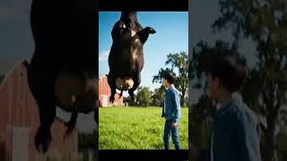 Cow vs Boy: You Little Brat