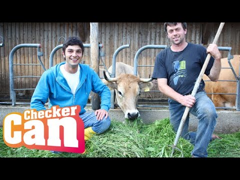 Der Burgen-Check | Reportage für Kinder | Checker Julian