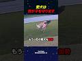【300万再生】愛犬は我が子を守ります🐕 #shorts