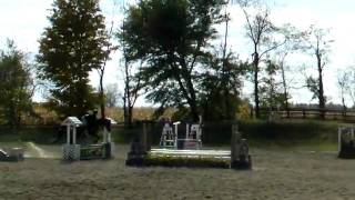 2 Sporthorse Inc Ihja Show Oct 2009