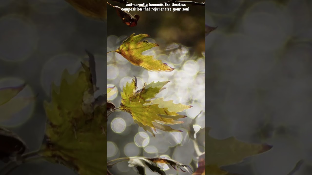 Quotes to Live By | Symphony of Life