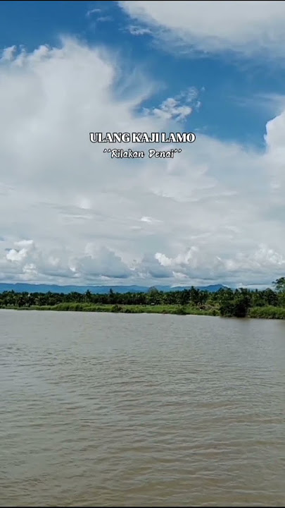 Rilakan Denai #shortsvideo #laguminangkocak #minangpopular #storywa #minang #storyharian #fyp