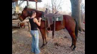 Riding Altivo