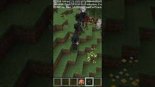 wither skeleton vs pigling brute