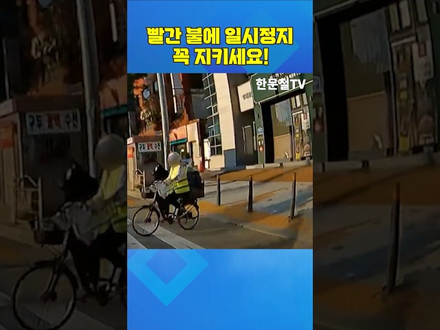 #5539. 빨간 불에 일시정지! 꼭 지키세요! #shorts