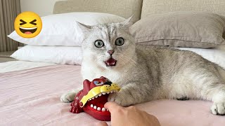 😂 Cute Pets Gone Wrong | Cats and Dogs Compilation