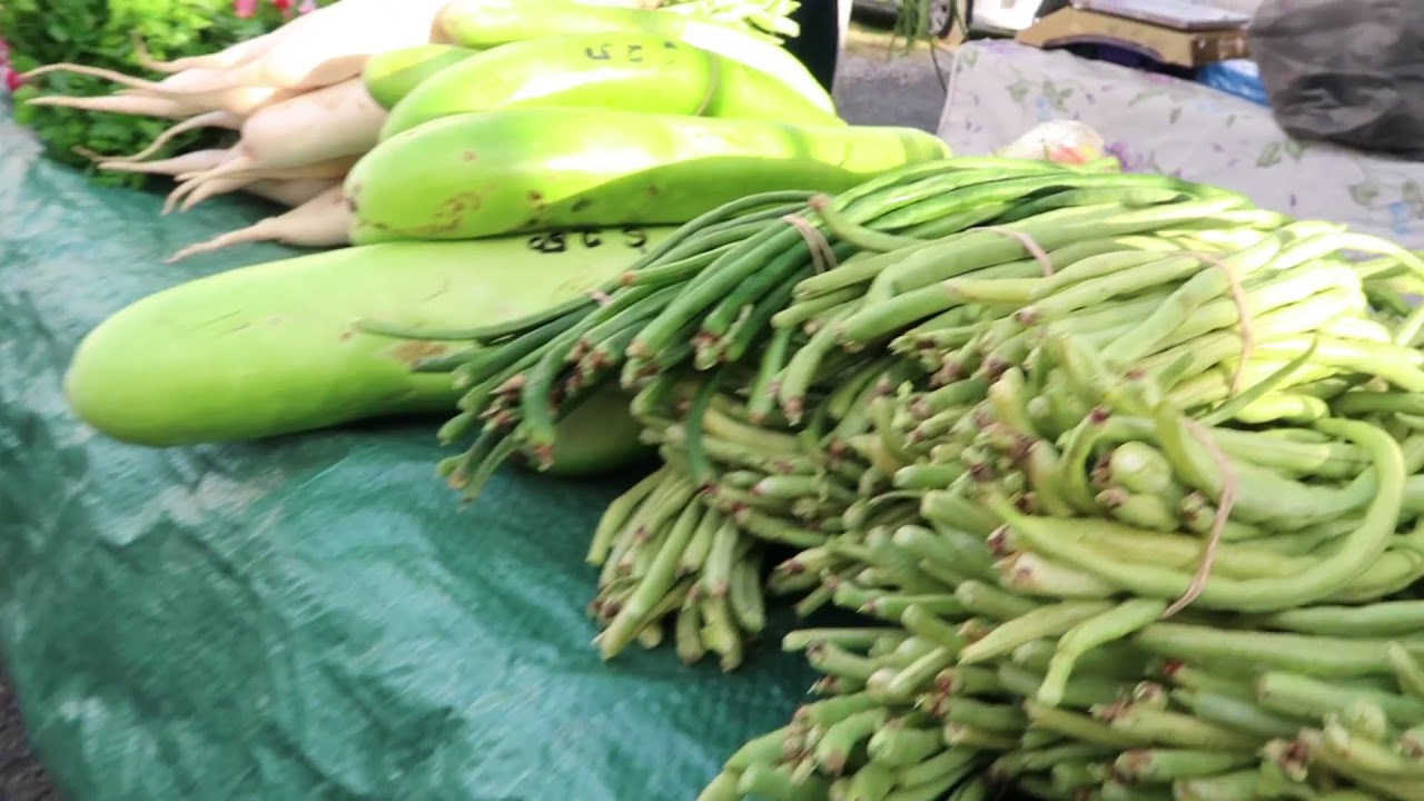 Tropical Mackay Queensland Farmers Market