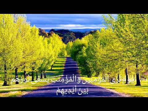 القارئ طارق محمد سورة الحديد صوت تهتز له القلوب تلاوة خاشعة جدا 