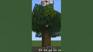 oak tree to custom tree,#mcpe #minecraft #minecraftshorts #bedrock #minecraftbuilding