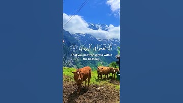سورة الرحمن من اية ١-١٢ من القارئ ياسر الدوسري